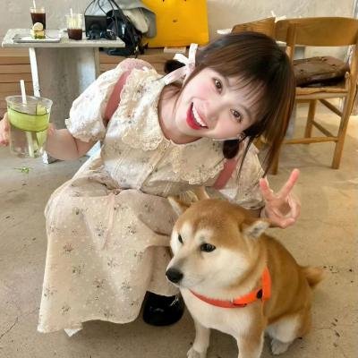 企鹅池谋杀案